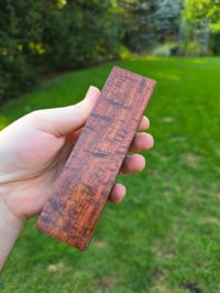 Image 1 of Tasmanian Blackwood 58