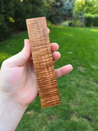 Image 1 of Tasmanian Blackwood 59