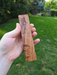 Image 2 of Tasmanian Blackwood 59