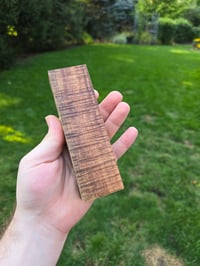 Image 3 of Tasmanian Blackwood 61
