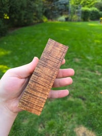 Image 2 of Tasmanian Blackwood 61