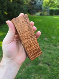 Image 1 of Tasmanian Blackwood 62