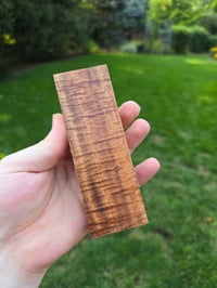 Image 3 of Tasmanian Blackwood 62