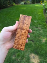 Image 1 of Tasmanian Blackwood 63