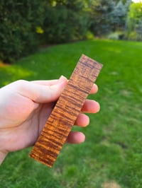 Image 1 of Tasmanian Blackwood 64