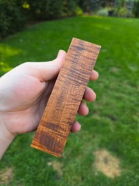 Image 3 of Tasmanian Blackwood 66