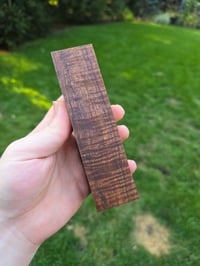 Image 1 of Tasmanian Blackwood 66