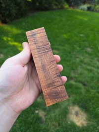 Image 2 of Tasmanian Blackwood 66