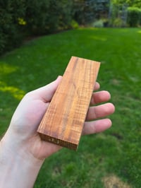 Image 2 of Tasmanian Blackwood 67
