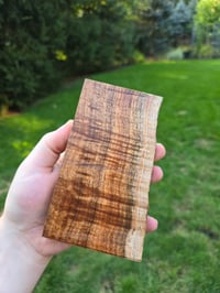 Image 2 of Tasmanian Blackwood 68