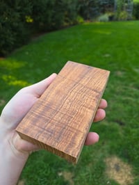 Image 3 of Tasmanian Blackwood 69