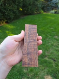 Image 3 of Tasmanian Blackwood 71