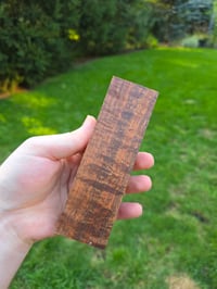Image 2 of Tasmanian Blackwood 71