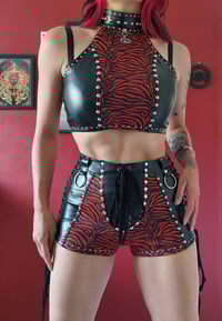 Image 5 of Sabre Shorts
