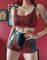 Image 7 of Sabre Shorts