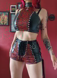 Image 8 of Sabre Shorts