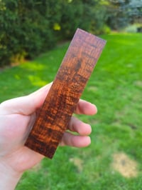 Image 1 of Tasmanian Blackwood 73