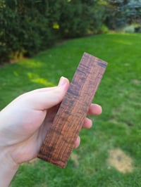 Image 2 of Tasmanian Blackwood 73
