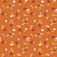 Image 13 of SHADES OF AUTUMN 10" Stacker 42 pc/pk by My Minds Eye for Riley Blake Designs