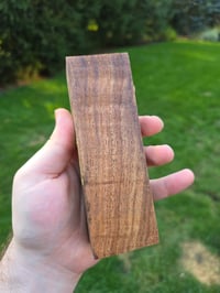 Tasmanian Blackwood 76