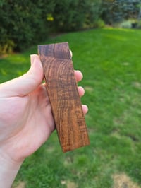 Image 3 of Tasmanian Blackwood 77