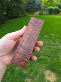 Image 1 of Tasmanian Blackwood 78