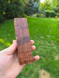 Image 2 of Tasmanian Blackwood 78