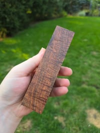 Image 2 of Tasmanian Blackwood 79