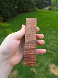 Image 1 of Tasmanian Blackwood 79