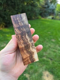 Image 1 of Tasmanian Blackwood 80