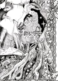 Image 3 of Danu A3 ltd edition Print