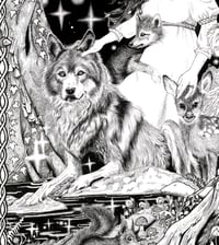 Image 4 of Danu A3 ltd edition Print
