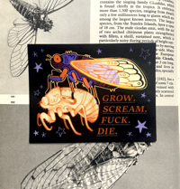 Image 1 of cicada - grow scream fuck die