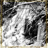 Image 5 of MOLOCH “The Forest Kingdom” LP