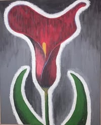 Bloom in a dark room