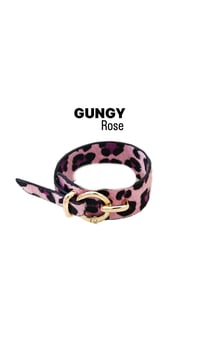 Image 15 of GUNGY