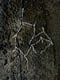 Image of LONG NECKLACE_Phoenix Dactylifera