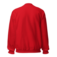 Image 11 of ILLVILLE THINGS Crewneck Sweatshirt