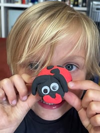 Maisie the Ladybird