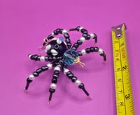 Image 6 of Anya Gladun Black Blue and Pearl Spider