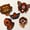 Image of Pack complet de 5 stickers 