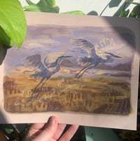 Image 2 of flying herons print