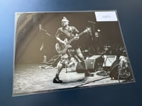 NOFX - Fat Mike