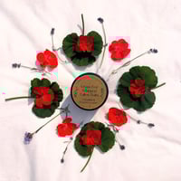Image 1 of Geranium & French Lavender Grass-Fed Tallow Balm