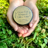 Image 4 of Geranium & French Lavender Grass-Fed Tallow Balm