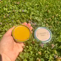 Image 3 of Calendula Salve