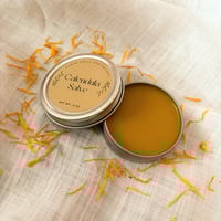 Image 1 of Calendula Salve