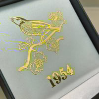 Image 2 of FA Cup 1953/54