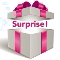 Surprise Box (Free Shipping)