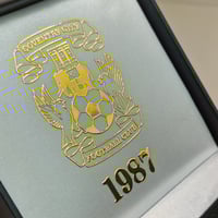 Image 2 of FA Cup 1986/87